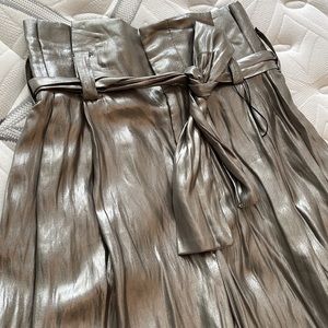 Wide Shiny Pant